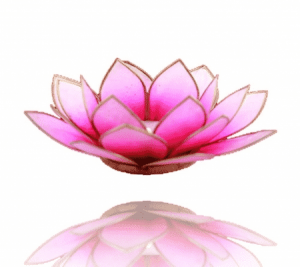 Lotus Teelichthalter rosa/weiß (Rand goldfarbig)