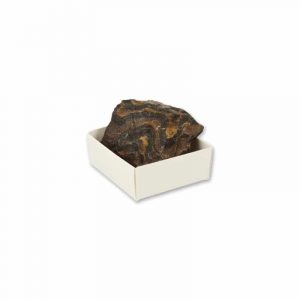 Schachtel Roher Edelstein Stromatolith