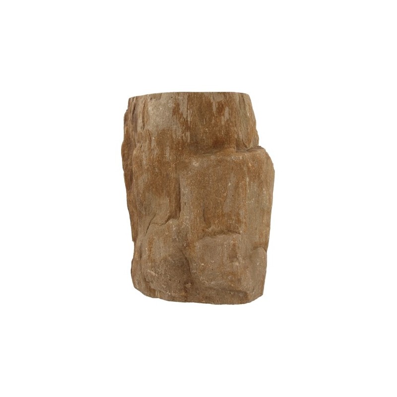 Fossiles Holz aus Java halbglänzend poliert (Modell 3)