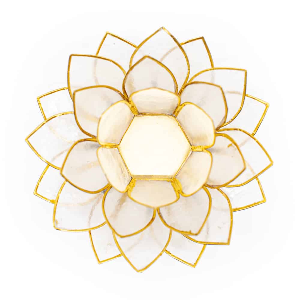 Lotusblume Stimmungslicht Draufsicht auf Weißem Hintergrund