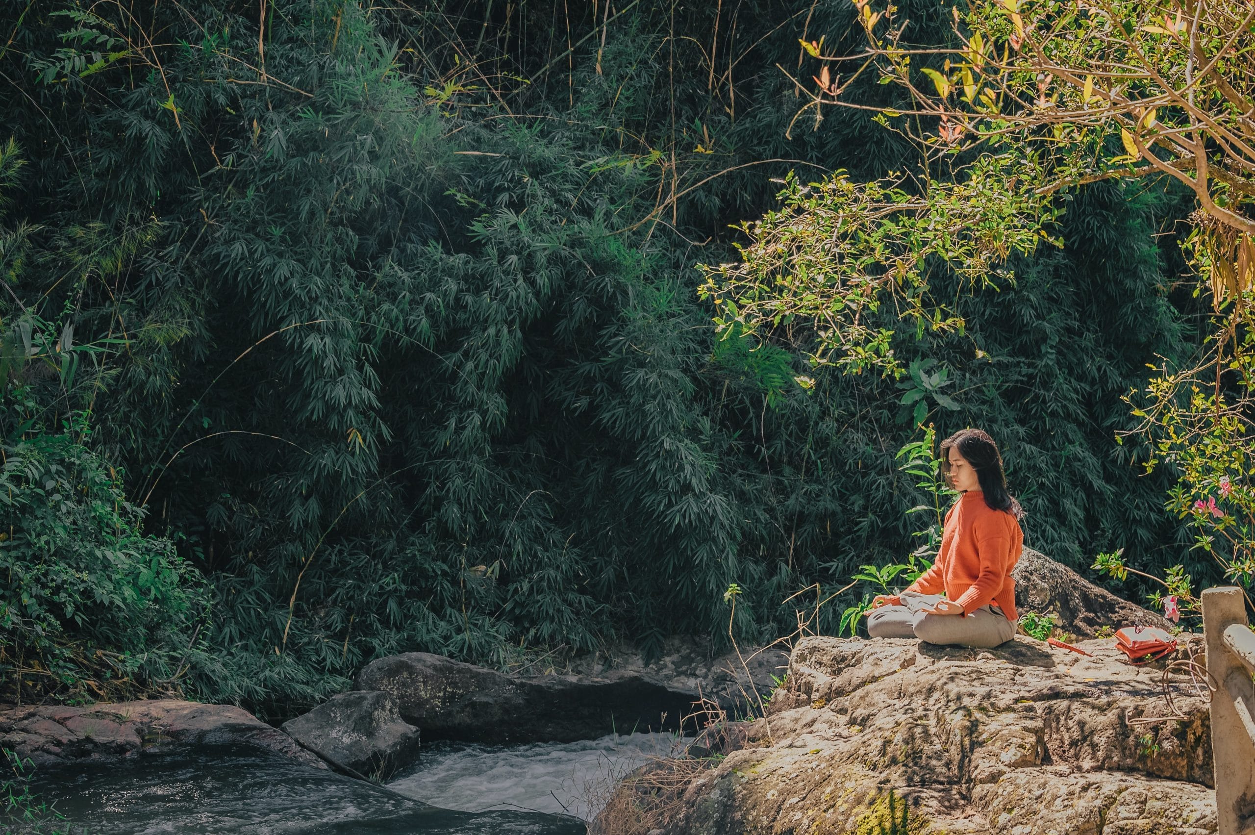 Frau meditiert in Wald