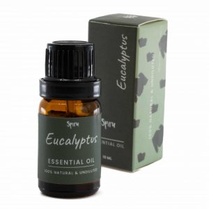 Ätherisches Öl Eukalyptus - 10 ml