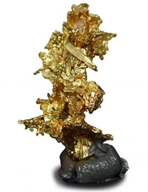 Kristallisierter Edelstein Goldkristall - Kanada (Modell 134)