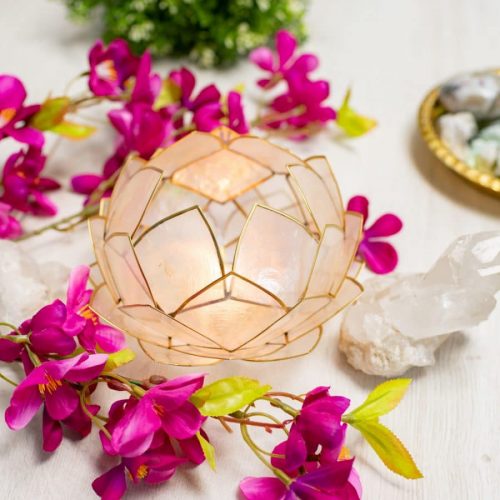 Die Lotusblume – Die Bedeutung des spirituellen Juwels